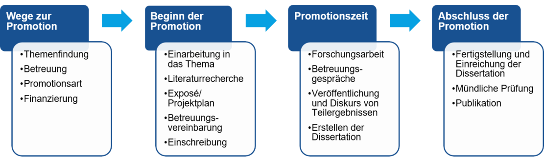 Diagram of the doctoral programme