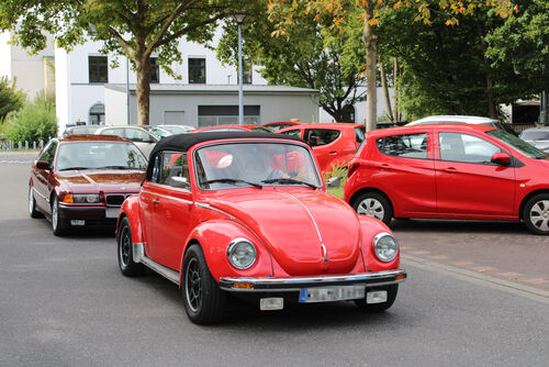 Beetle_Oldtimer