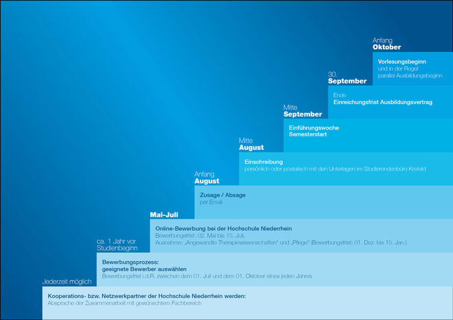 Companies as dual pathfinders