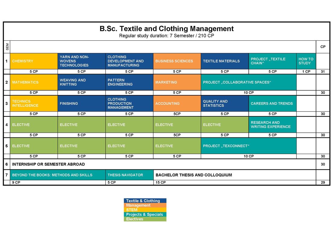 Beispielcurriculum TCM