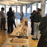 Students of the Faculty of Design at EY | Photo: Sigrun Prahl