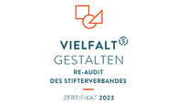 Logo Diversity Audit