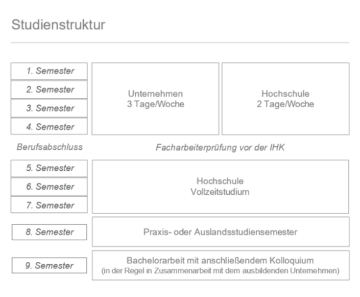 Study structure