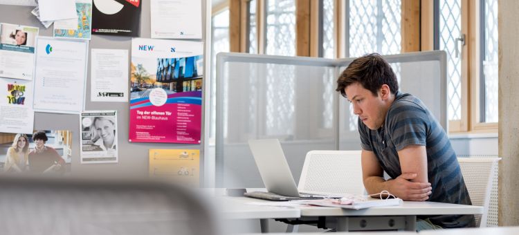 Students learning landscape