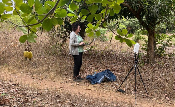 Testmessung auf einer Cashew-Plantage in Benin Testmessung auf einer Cashew-Plantage in Benin